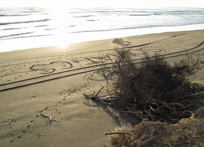 beach, sunset